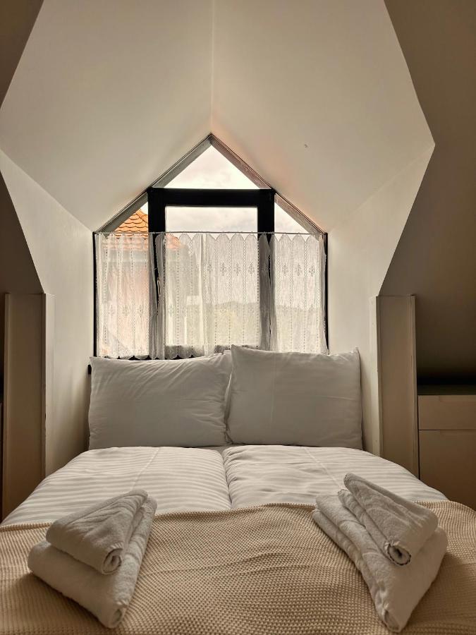 Charming City Loft Apartment 卢布尔雅那 外观 照片